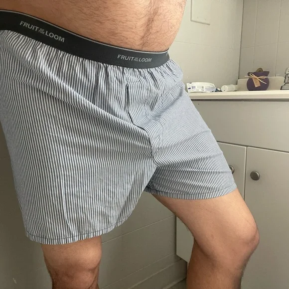 Boxer - Picture 3 of 3